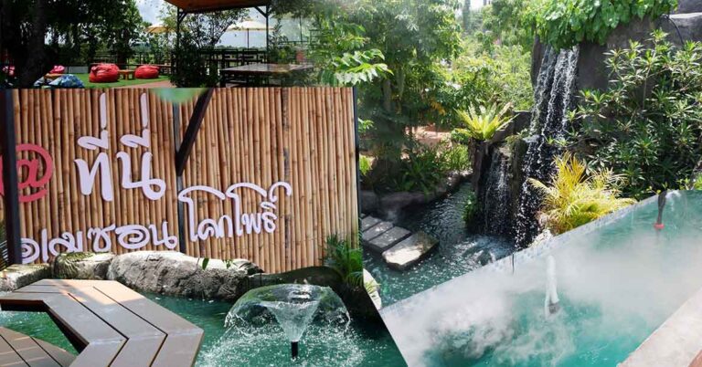 Read more about the article อเมซอนโคกโพธิ์ ร้านกาแฟบรรยากาศดี วิวน้ำตก ในพื้นที่สีเขียว