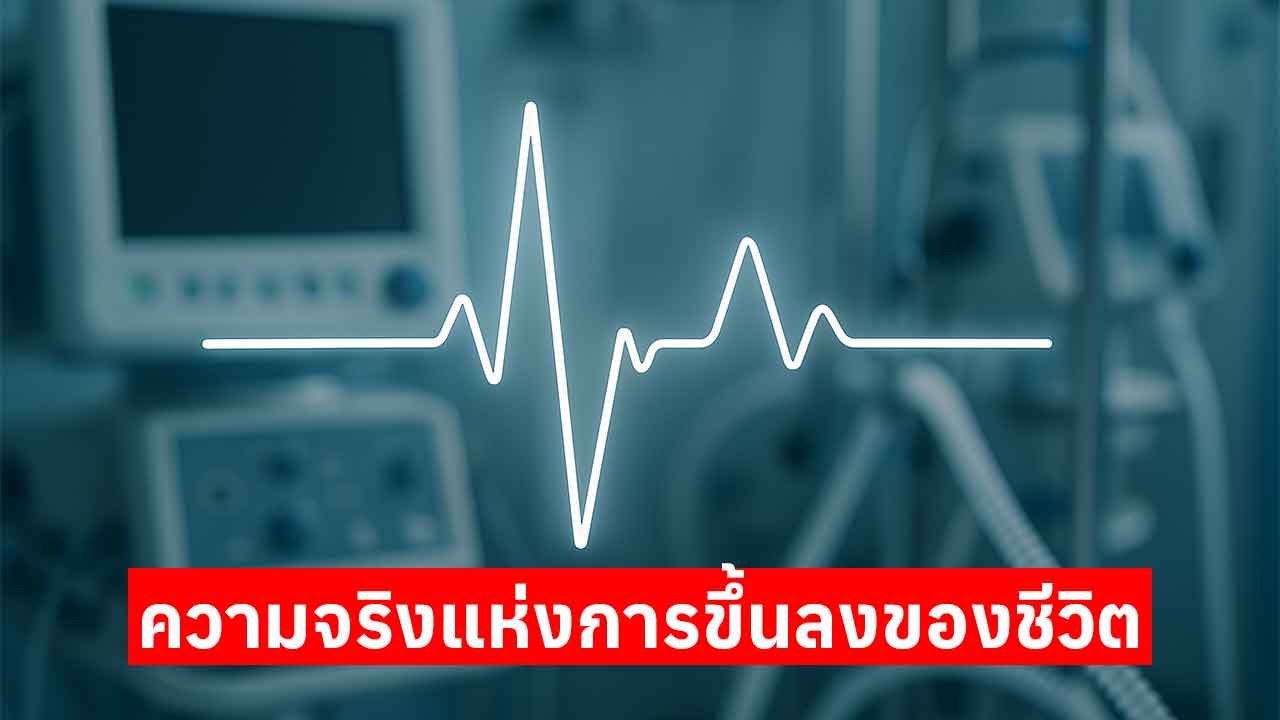 ชีพจรชีวิต