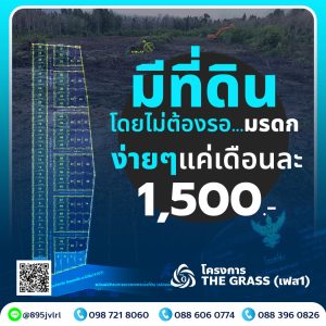 Poster-Online-The-Grass-ไม่ต้องรอมรดก2